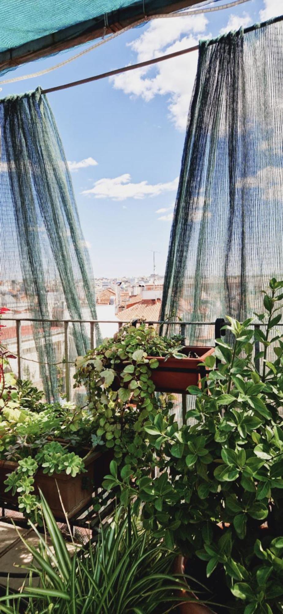 Casa De Huespedes Dolce Vita Madrid Luaran gambar